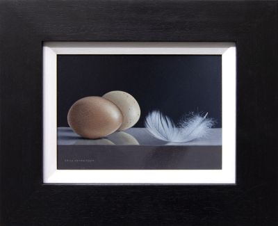 two eggs and a feather brian henderson