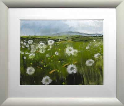 Binsey Through Dandelion Clocks | Helen Fryer
