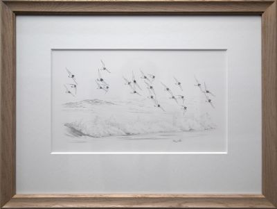 ringed plovers in flight by colin woolf