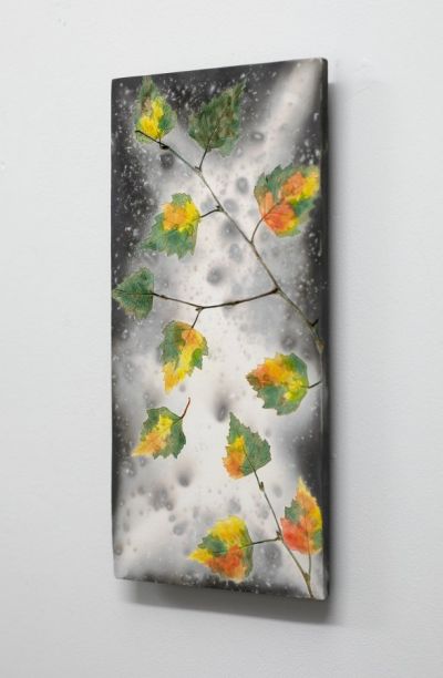 Falling Autumn Birch ii | Helen Michie