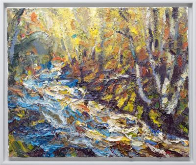 sun after the rain, glen affric, october