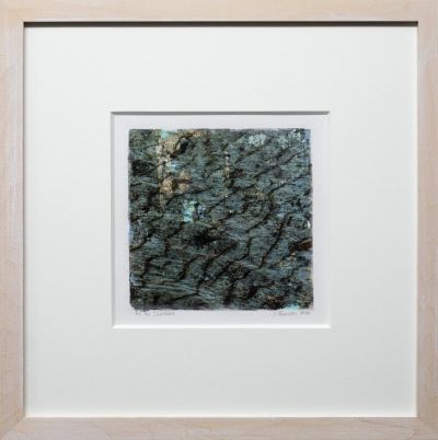 In the Shallows | Jane Rushton