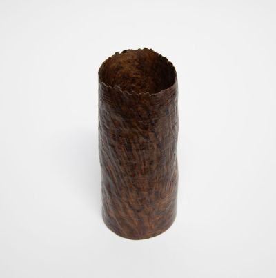 1924 oak burr, morvern by john hodgson