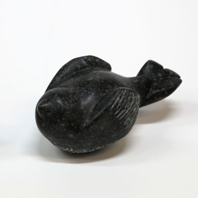 wee bird II by siobhan morison