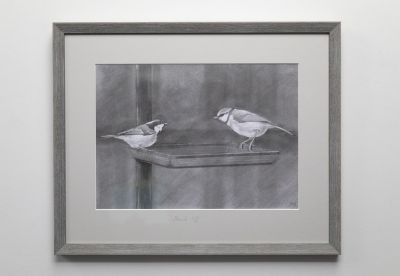 stand off by Siobhan Morison