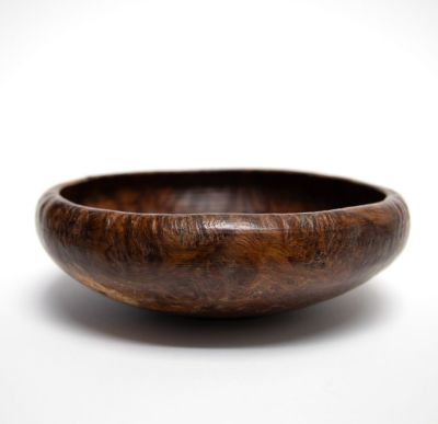 1925 oak burr, morvern by john hodgson