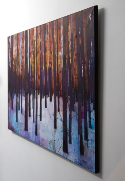 sunset forest by stephen french