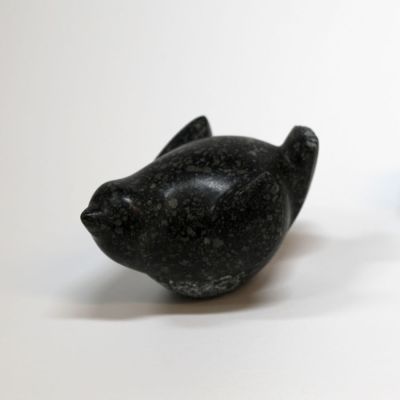 wee bird I by siobhan morison