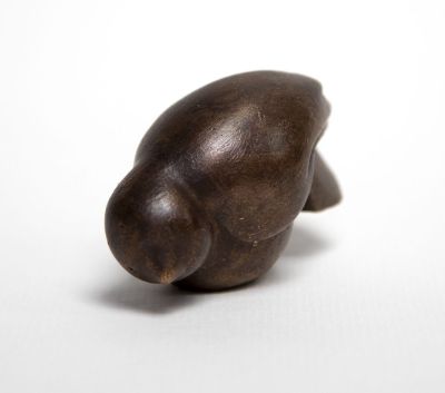 wee bird by siobhan morison