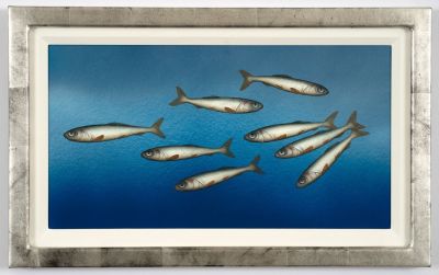 deep blue by donald provan