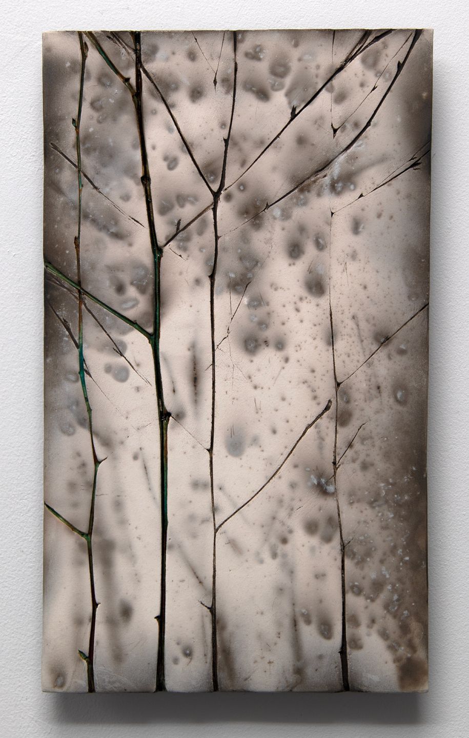 winter birch II by helen michie